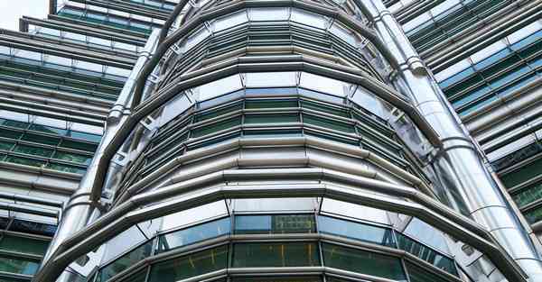 海洋动物大数据（海洋动物大数据分析）