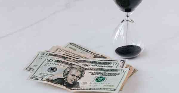 海洋动物大数据（海洋动物大数据分析）