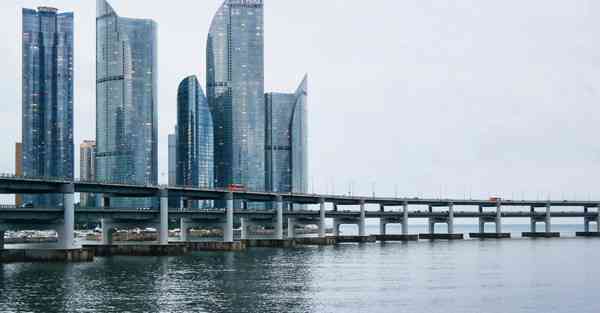 摇晃智能机器人