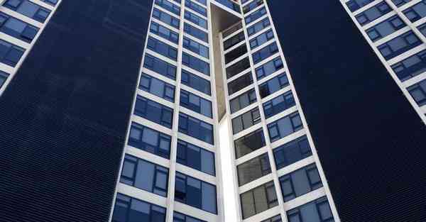 年货大数据显示