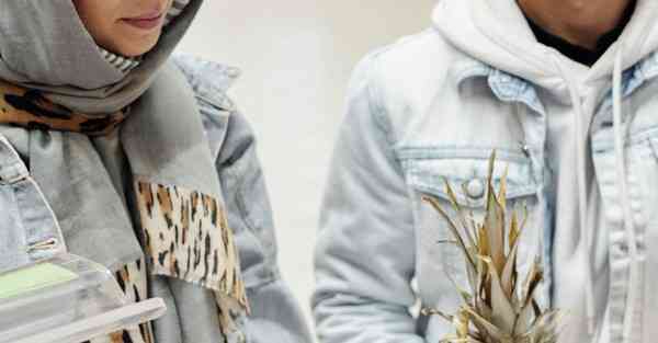 野蛮生长大数据