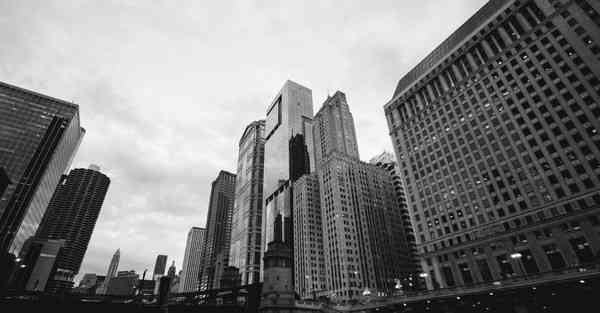 海洋动物大数据（海洋动物大数据分析）