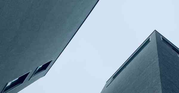 海洋动物大数据（海洋动物大数据分析）