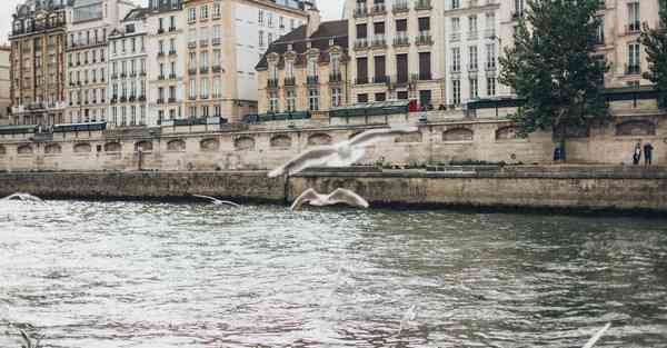 智能机器人涂抹灰机的涂抹机器人需要多少钱