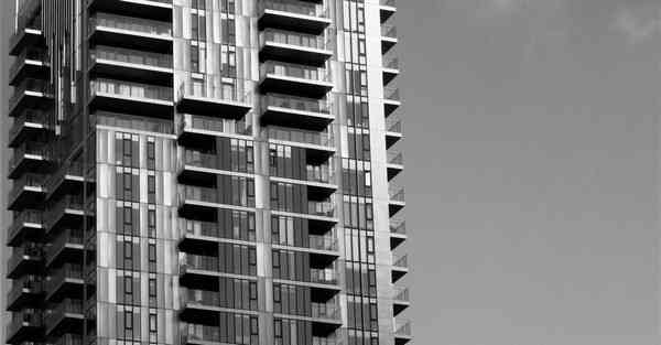 海洋动物大数据（海洋动物大数据分析）