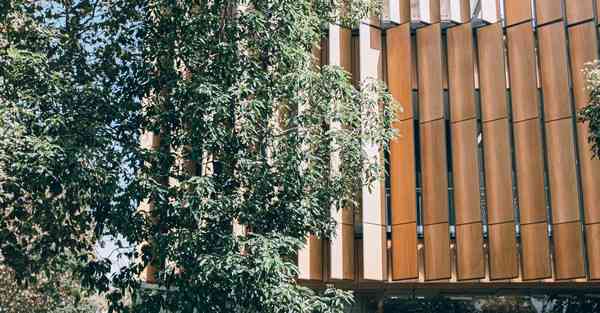 男仆智能机器人公主抱：完成你的梦幻女仆梦想