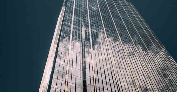 海洋动物大数据（海洋动物大数据分析）