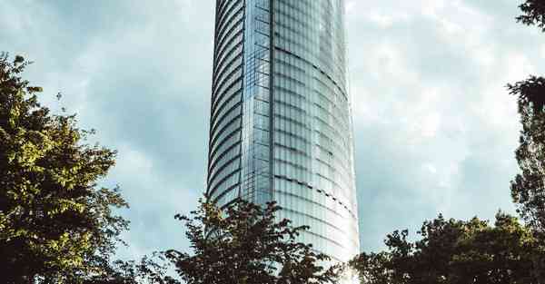 用大数据分析庚子年（今年）