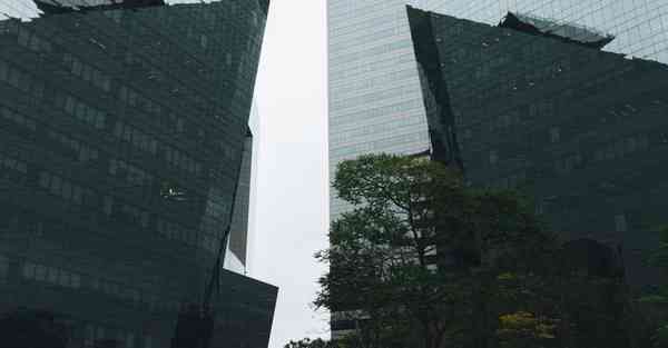 二次元AI绘画让作者无语（二次元画稿）