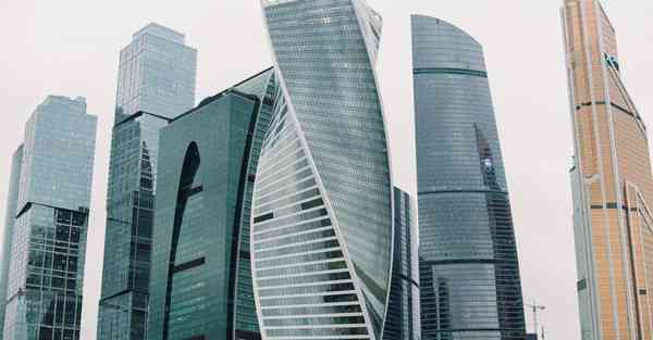 海洋动物大数据（海洋动物大数据分析）