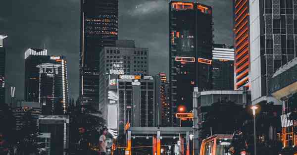 海洋动物大数据（海洋动物大数据分析）