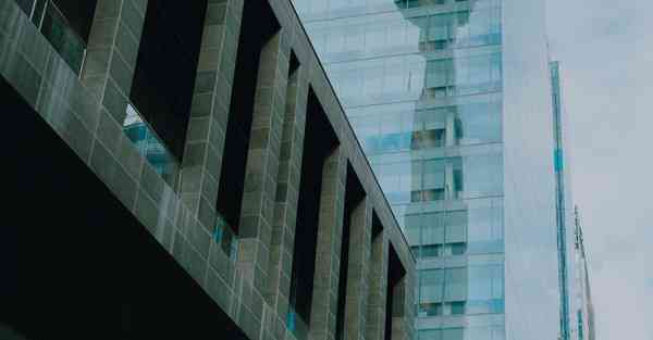 海洋动物大数据（海洋动物大数据分析）