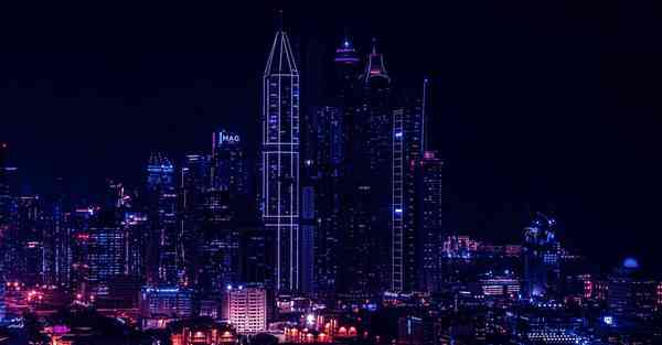 海洋动物大数据（海洋动物大数据分析）