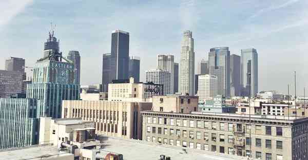 海洋动物大数据（海洋动物大数据分析）