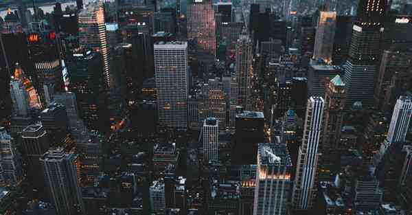 海洋动物大数据（海洋动物大数据分析）