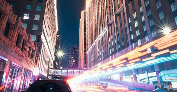 海洋动物大数据（海洋动物大数据分析）