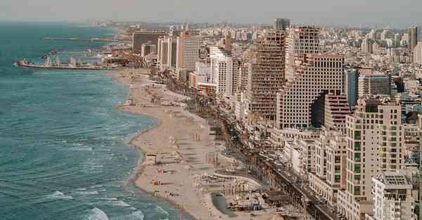 海洋动物大数据（海洋动物大数据分析）