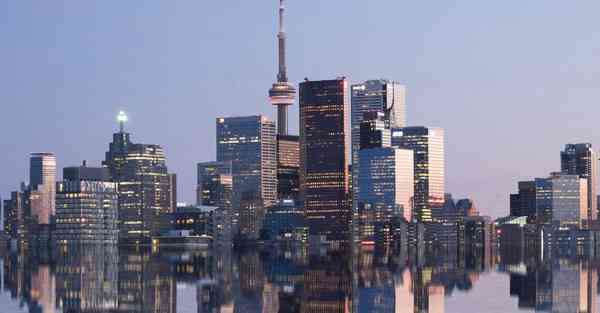 海洋动物大数据（海洋动物大数据分析）