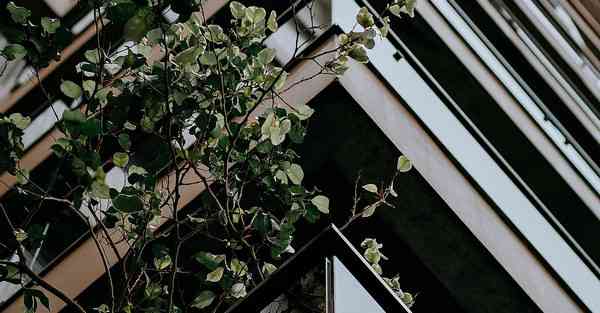 人工智能医疗设备