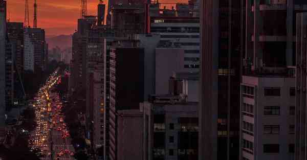 海洋动物大数据（海洋动物大数据分析）