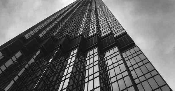 海洋动物大数据（海洋动物大数据分析）