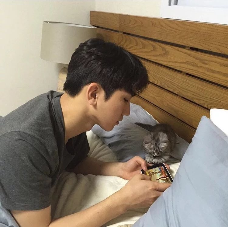 董庆哲中