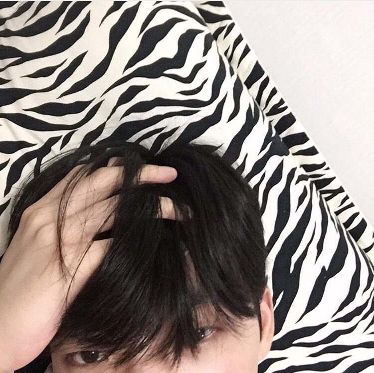 皮秋菊欣
