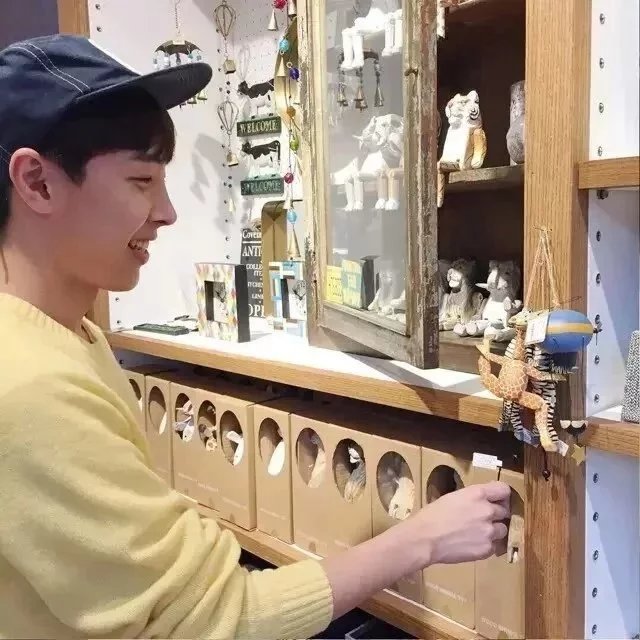 柯善滢莺