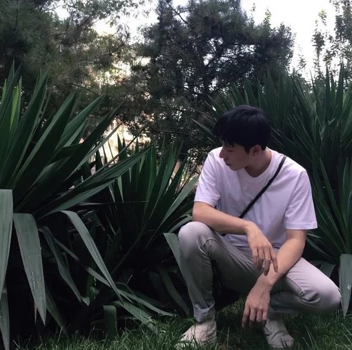 宇文成可龙