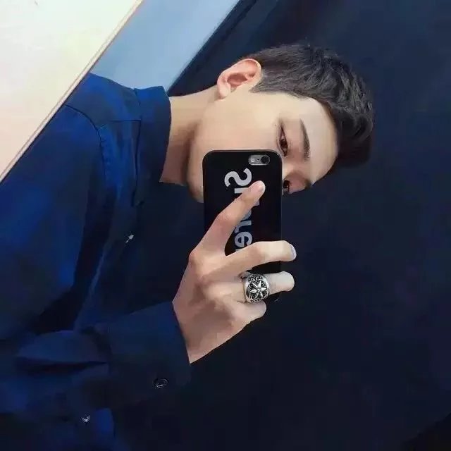 聂伦紫河