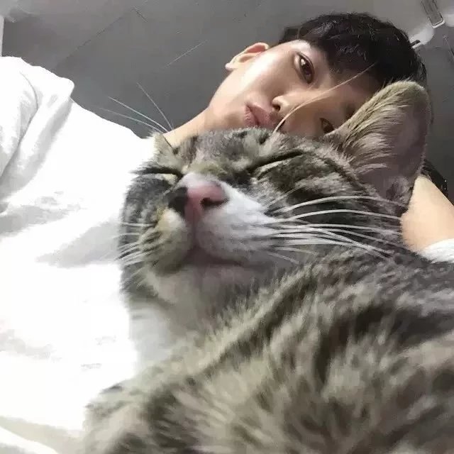 严明宏元