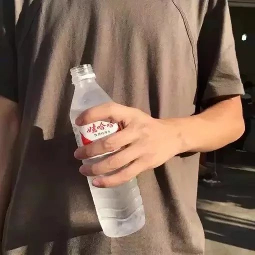 詹新蓝剑