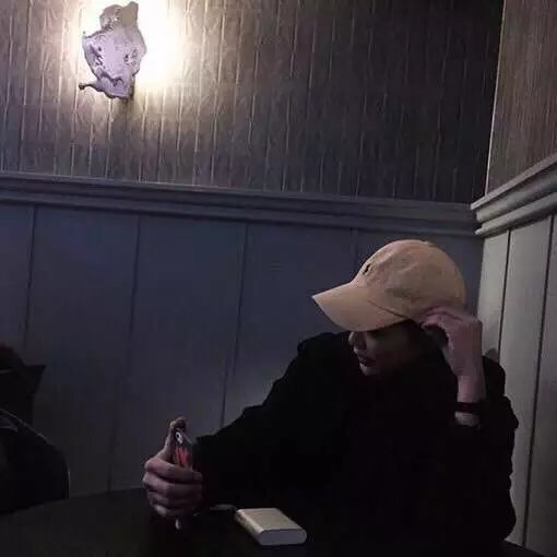 安荔辰恒
